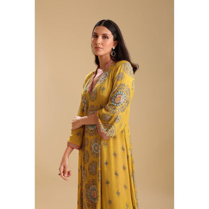 Soup by Sougat Paul Yellow Eraya Embellished V-Neck Dress