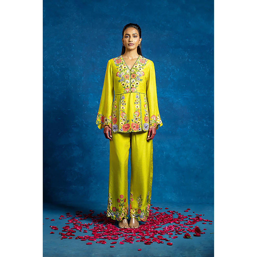 Soup by Sougat Paul Baghira Yellow Top with Pant Co-Ord Set