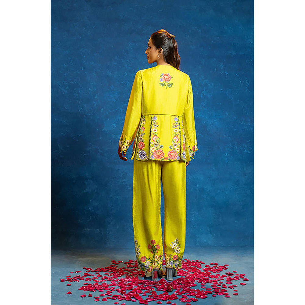 Soup by Sougat Paul Baghira Yellow Top with Pant Co-Ord Set