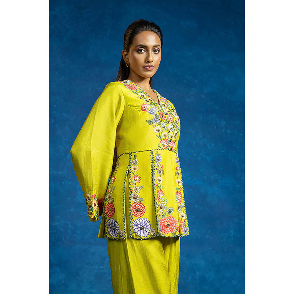 Soup by Sougat Paul Baghira Yellow Top with Pant Co-Ord Set