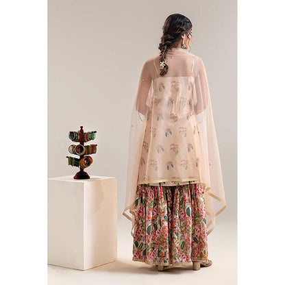 Soup by Sougat Paul Aarani Kurti with Sharara and Cape