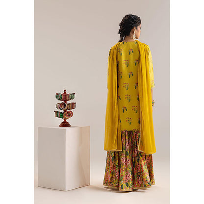 Soup by Sougat Paul Aarani Kurti with Sharara and Cape