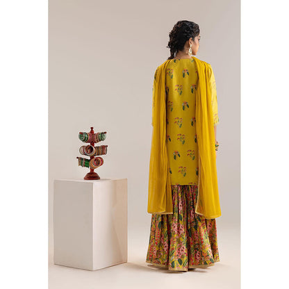Soup by Sougat Paul Aarani Kurti with Sharara and Cape