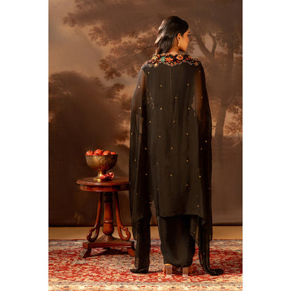 Soup by Sougat Paul Aarani Drape Dress with Cape