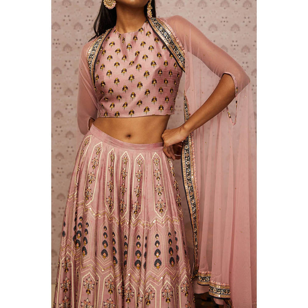 Soup by Sougat Paul Sarouk Embroidered Lehenga Choli with Dupatta