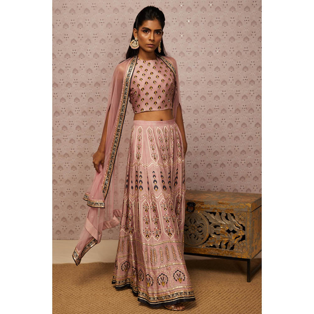 Soup by Sougat Paul Sarouk Embroidered Lehenga Choli with Dupatta