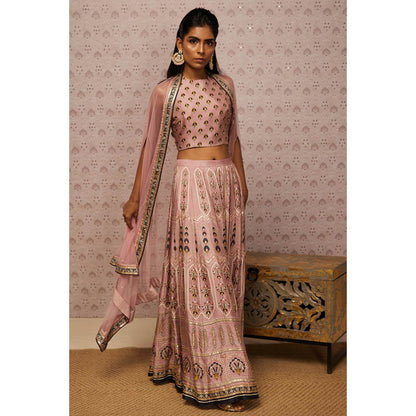 Soup by Sougat Paul Sarouk Embroidered Lehenga Choli with Dupatta