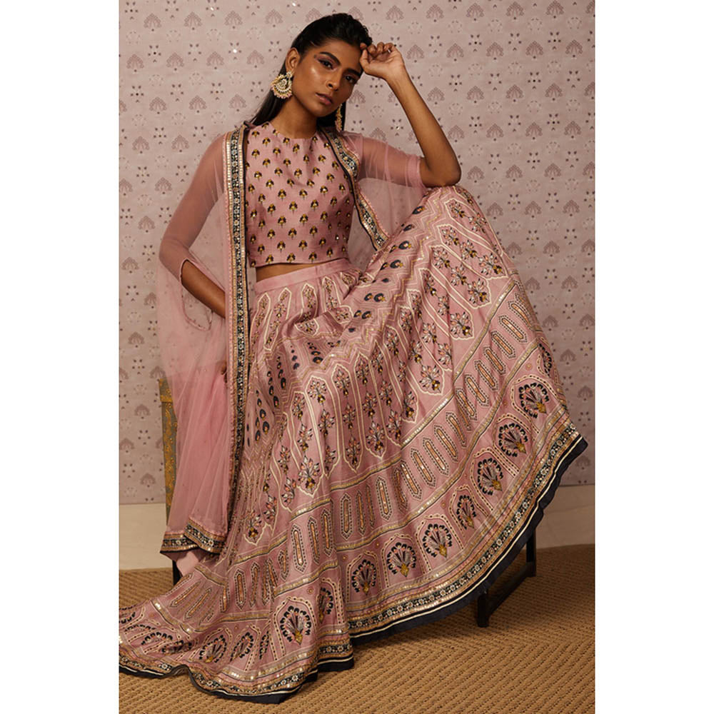 Soup by Sougat Paul Sarouk Embroidered Lehenga Choli with Dupatta