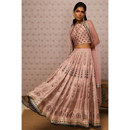 Soup by Sougat Paul Sarouk Embroidered Lehenga Choli with Dupatta