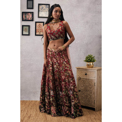 Soup by Sougat Paul Mehr Red Embroidered Lehenga Choli with Dupatta