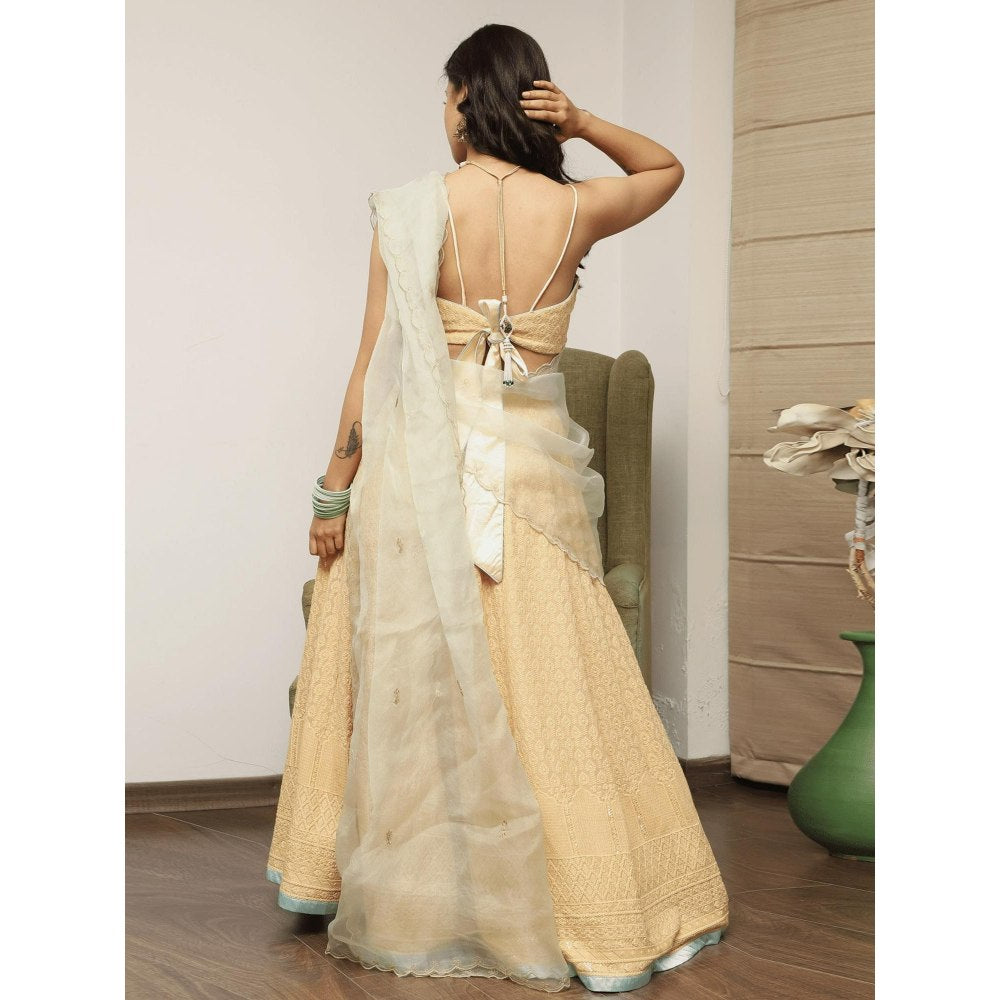 Spring Soul Beige Embroidered Lehenga with Blouse and Dupatta (Set of 3)