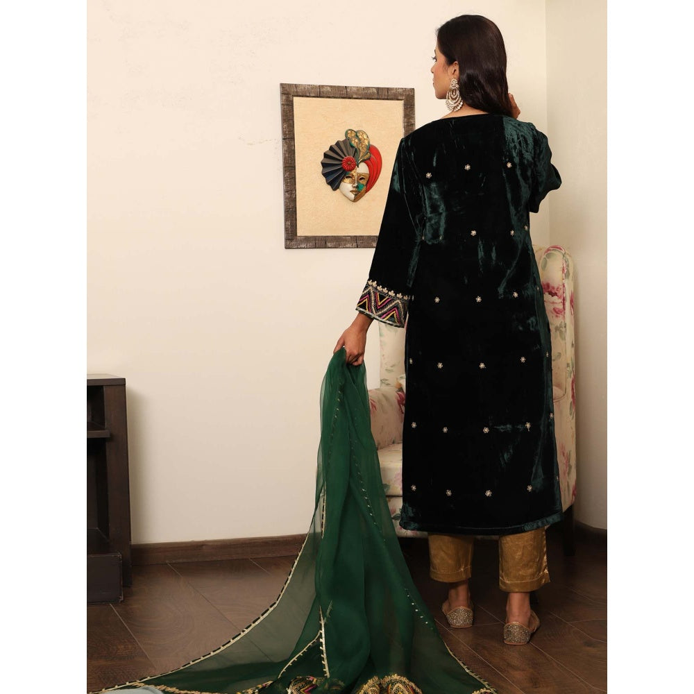 Spring Soul Green Embroidered Velvet Kurta with Mashru Silk Pant and Organza Dupatta (Set of 3)