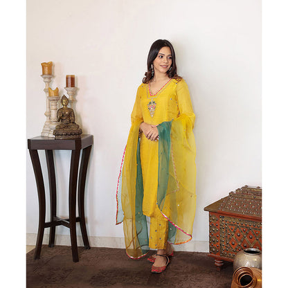 Spring Soul Yellow Tissue Hand Embroidered V-Neck Kurta and Pant with Dupatta (Set of 3)