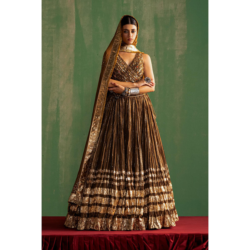 STUDIO BAGECHAA Ruchika Brown Embellished Lehenga with Blouse and Dupatta (Set of 3)