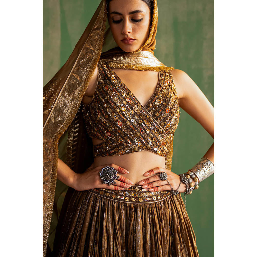 STUDIO BAGECHAA Ruchika Brown Embellished Lehenga with Blouse and Dupatta (Set of 3)