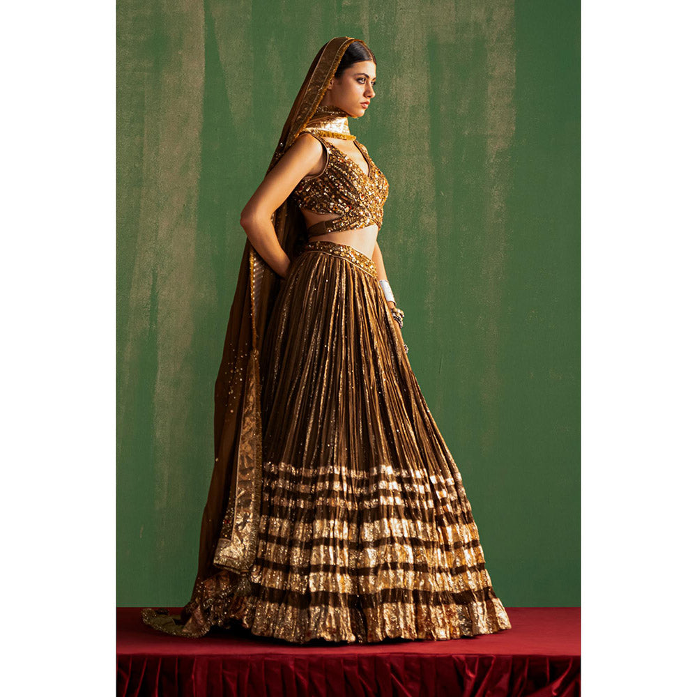 STUDIO BAGECHAA Ruchika Brown Embellished Lehenga with Blouse and Dupatta (Set of 3)