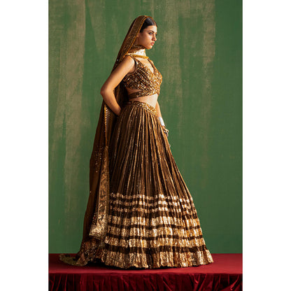 STUDIO BAGECHAA Ruchika Brown Embellished Lehenga with Blouse and Dupatta (Set of 3)