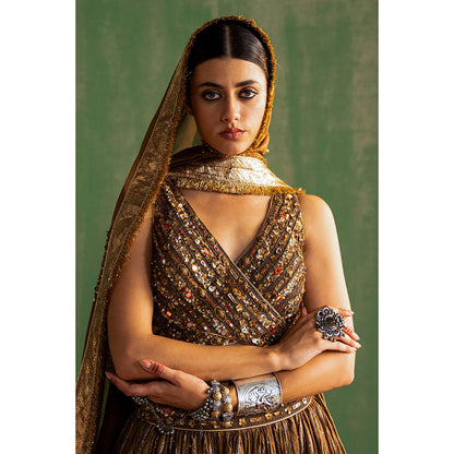 STUDIO BAGECHAA Ruchika Brown Embellished Lehenga with Blouse and Dupatta (Set of 3)