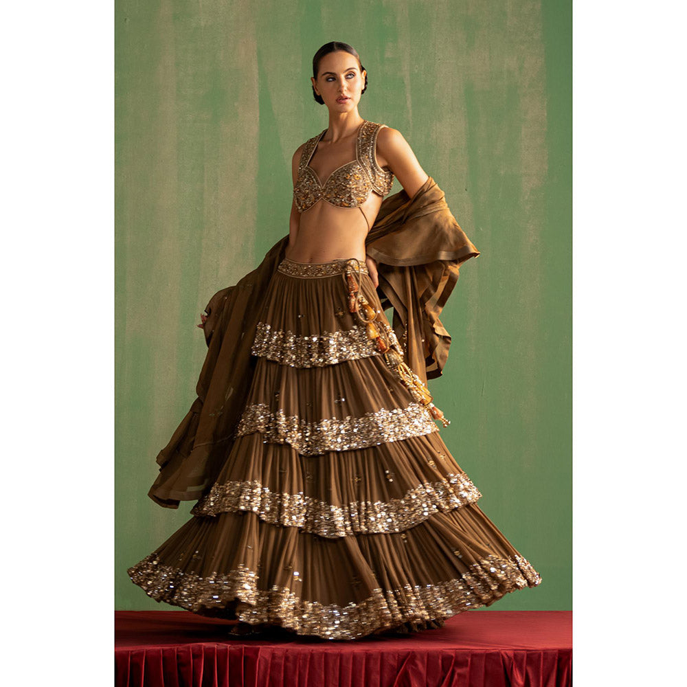 STUDIO BAGECHAA Bhumika Brown Embellished Lehenga with Blouse and Dupatta (Set of 3)