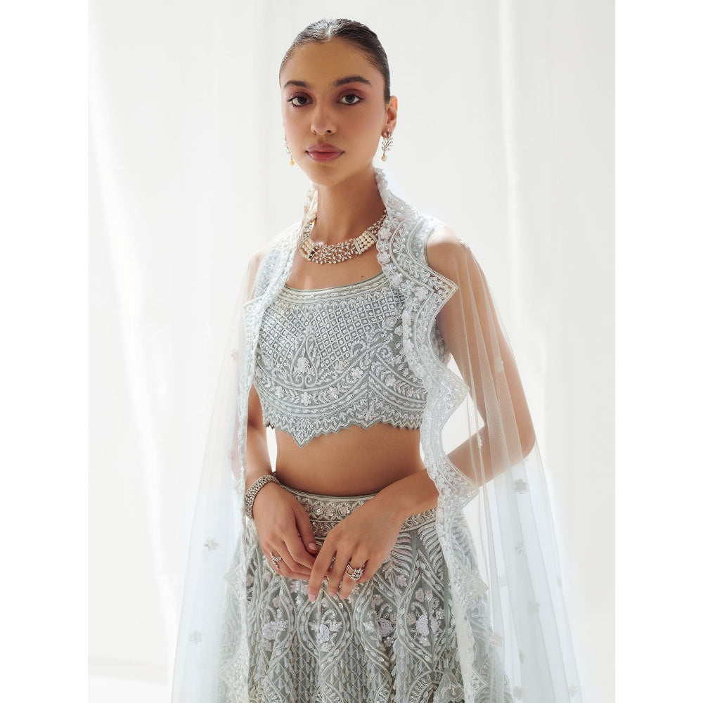 SUHINO Grey Organza Lehenga Blouse & Dupatta (Set of 3)