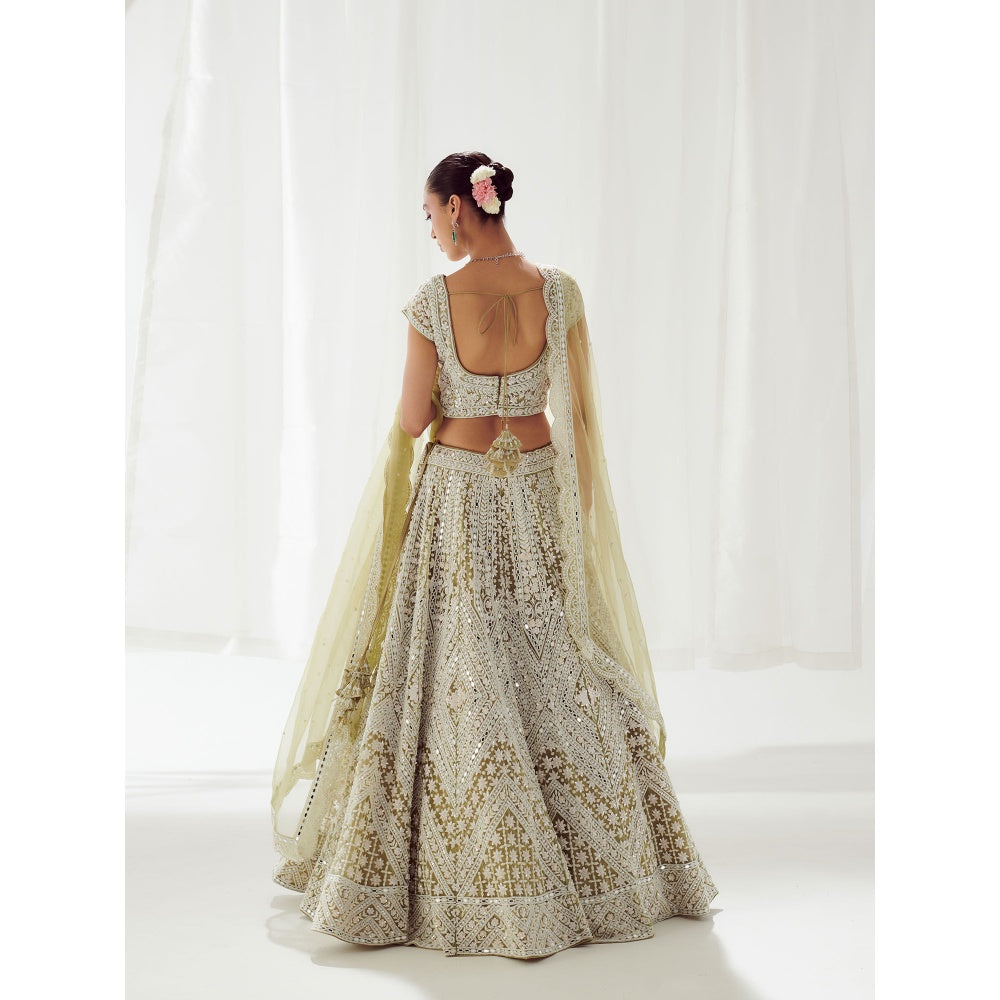 SUHINO Green Net Lehenga Blouse & Dupatta (Set of 3)