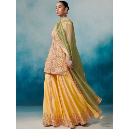 SUHINO Front Open Kurta Gharara & Dupatta (Set of 3)