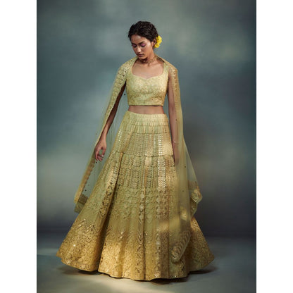 SUHINO Lime Green Lehenga Blouse & Pant (Set of 3)