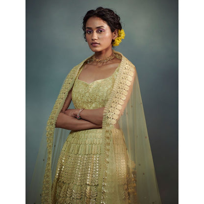 SUHINO Lime Green Lehenga Blouse & Pant (Set of 3)