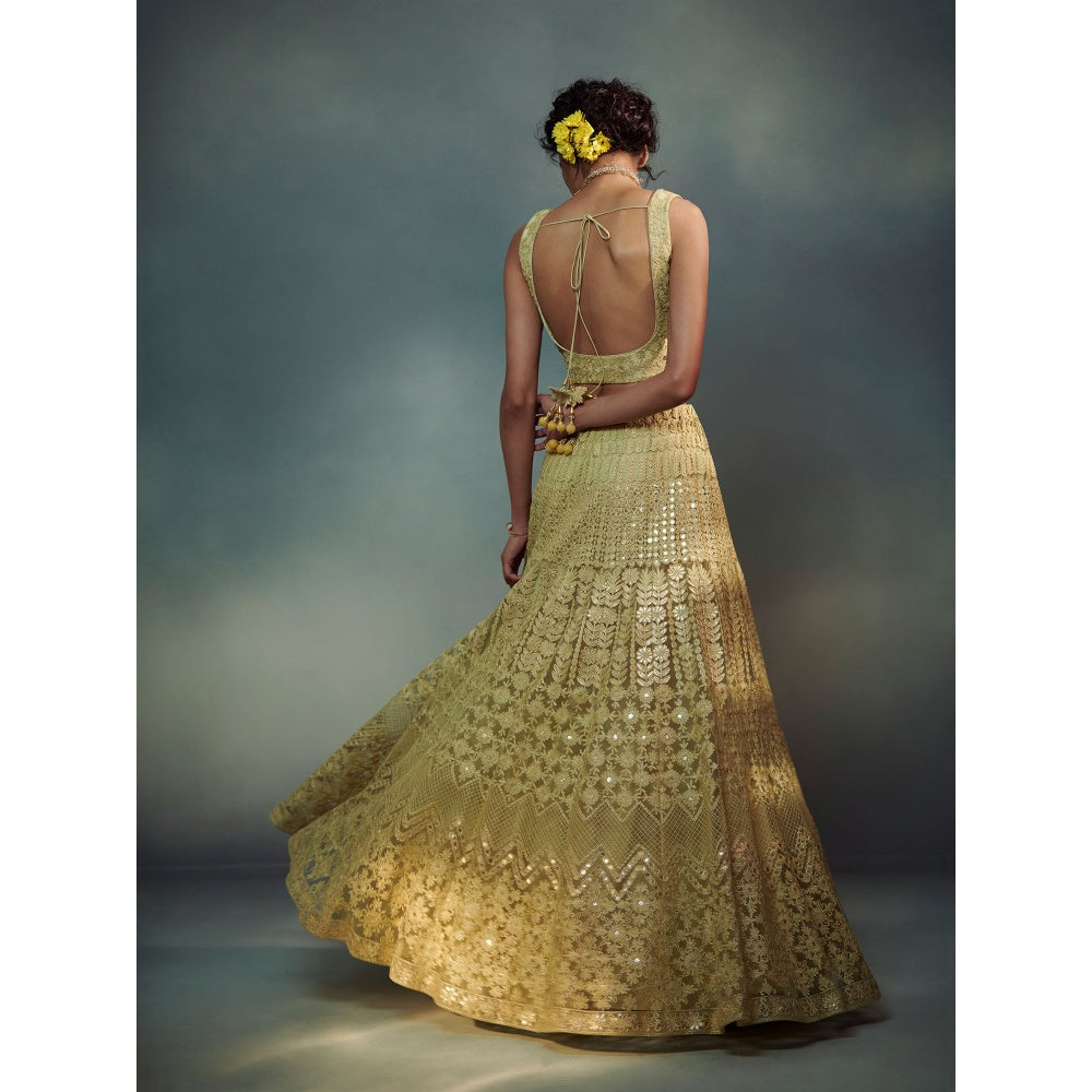 SUHINO Lime Green Lehenga Blouse & Pant (Set of 3)