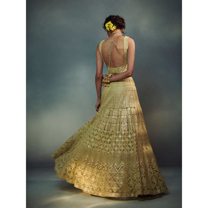 SUHINO Lime Green Lehenga Blouse & Pant (Set of 3)