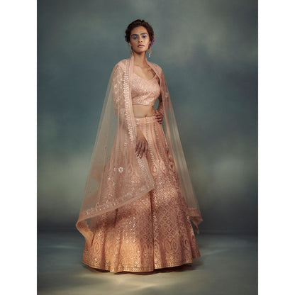 SUHINO Peach Lehenga Blouse & Dupatta (Set of 3)