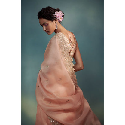 SUHINO Peach Organza Saree with Blouse & Petticoat with Stitched Blouse
