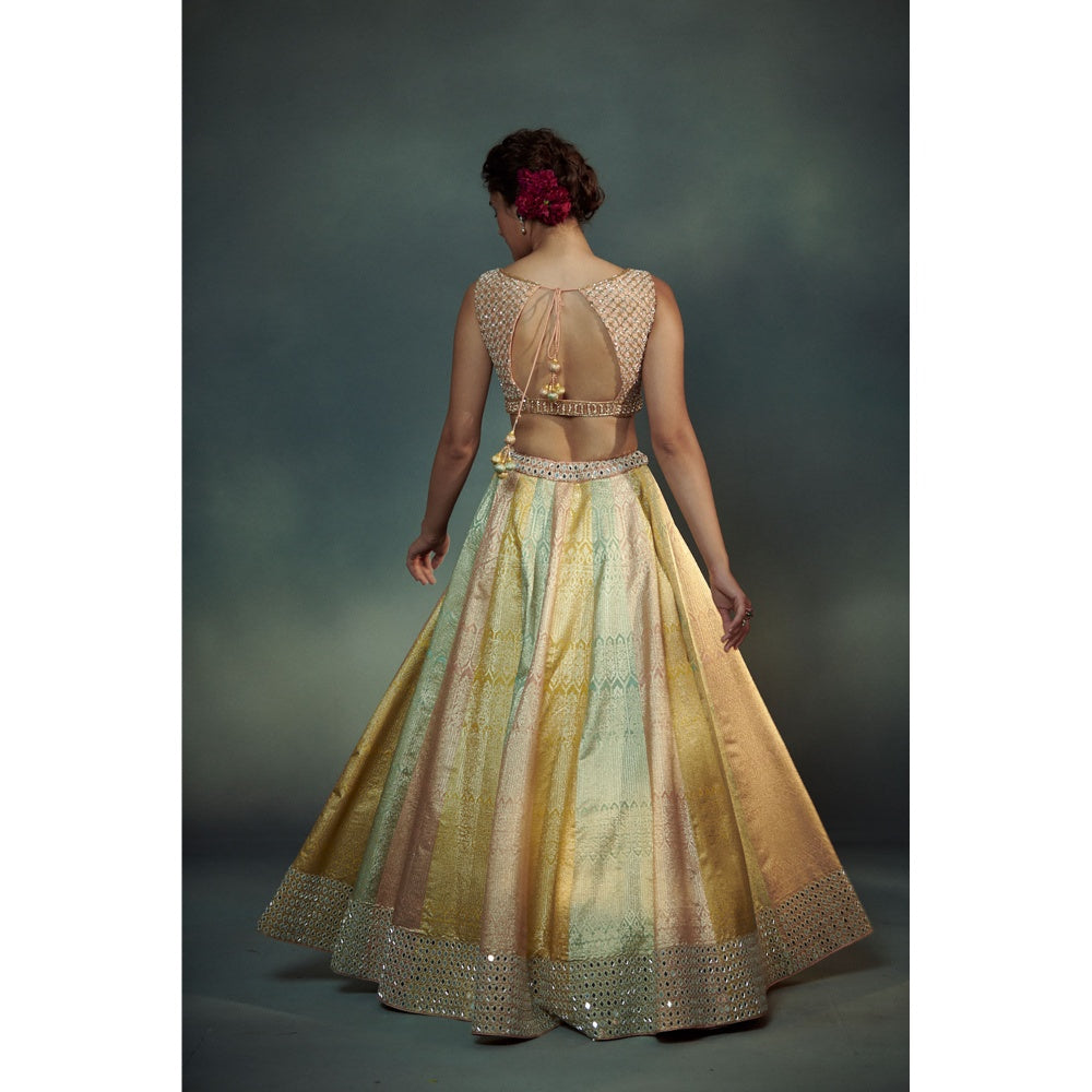 SUHINO Peach Tricoloured Lehenga Blouse & Dupatta (Set of 3)