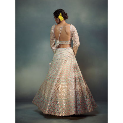 SUHINO Multi-Color Lehenga Blouse & Dupatta (Set of 3)