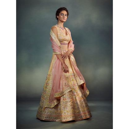 SUHINO Yellow Lehenga Blouse & Dupatta (Set of 3)