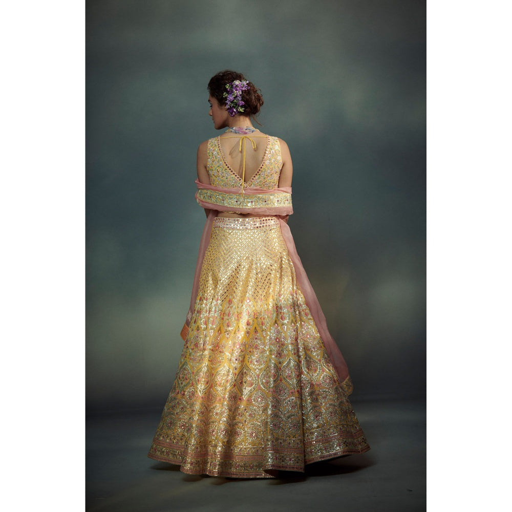 SUHINO Yellow Lehenga Blouse & Dupatta (Set of 3)