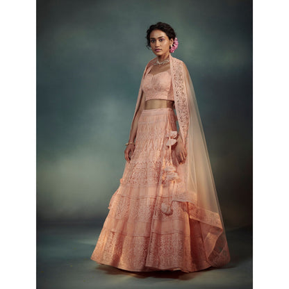 SUHINO Peach Lehenga Blouse & Dupatta (Set of 3)