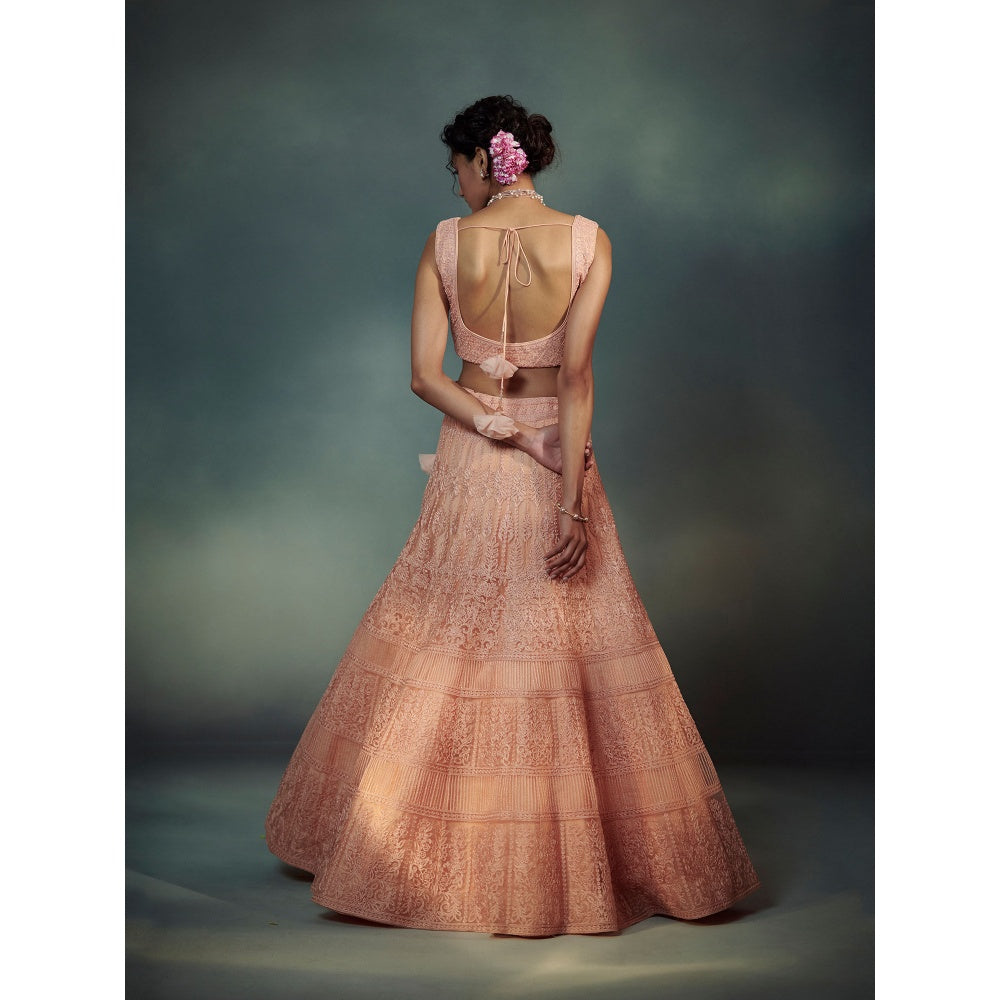 SUHINO Peach Lehenga Blouse & Dupatta (Set of 3)