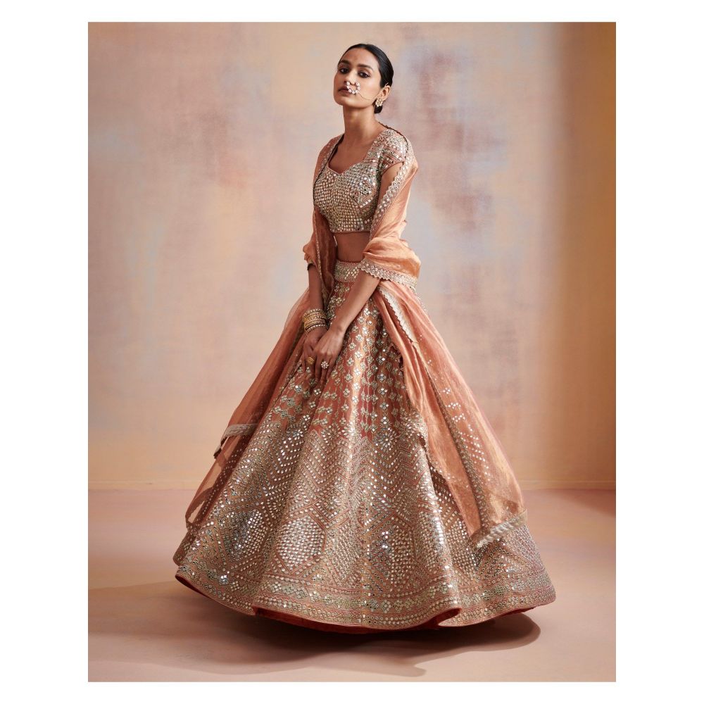 SUHINO Rust Tissue Lehenga with Blouse & Dupatta (Set of 3)