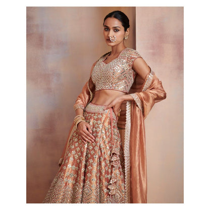 SUHINO Rust Tissue Lehenga with Blouse & Dupatta (Set of 3)