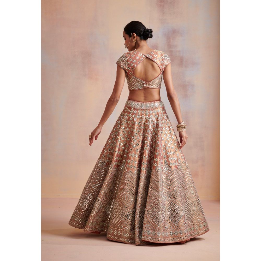 SUHINO Rust Tissue Lehenga with Blouse & Dupatta (Set of 3)