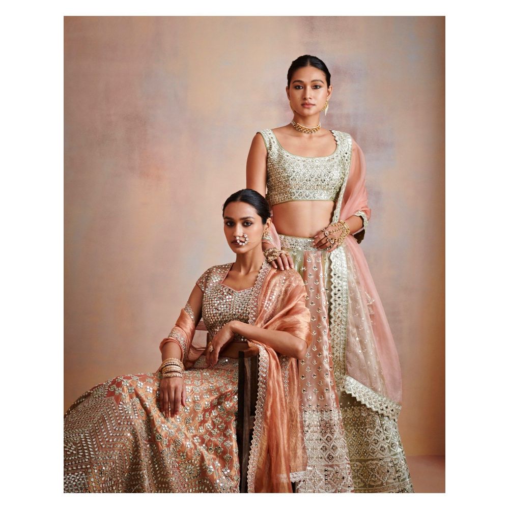 SUHINO Rust Tissue Lehenga with Blouse & Dupatta (Set of 3)