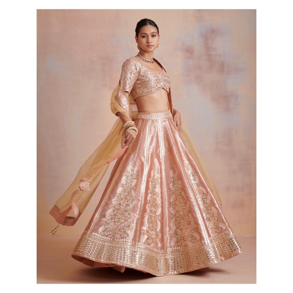 SUHINO Melon Peach Tissue Lehenga with Blouse & Dupatta (Set of 3)