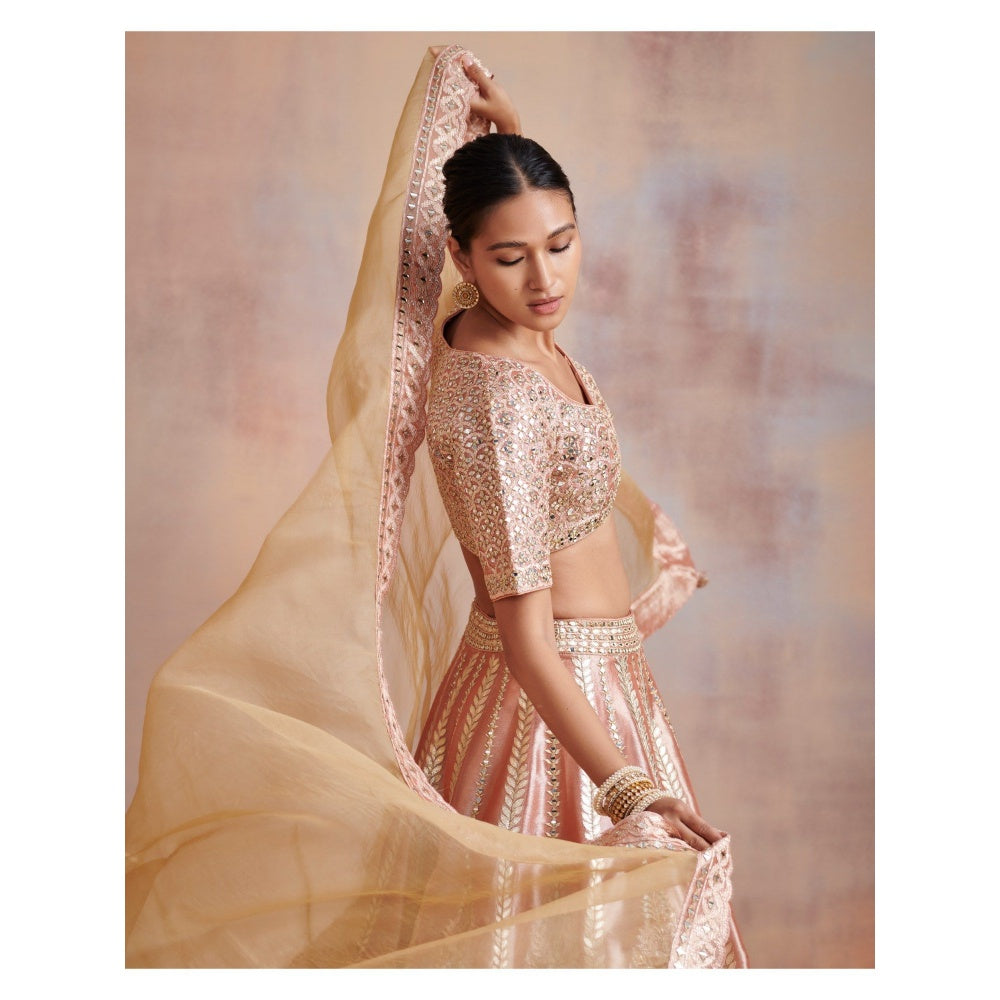 SUHINO Melon Peach Tissue Lehenga with Blouse & Dupatta (Set of 3)