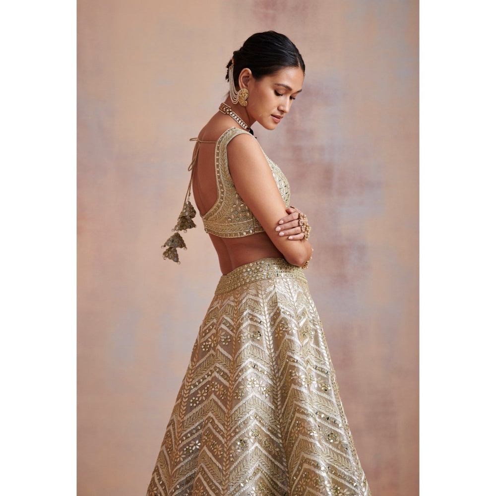 SUHINO Ivory Tissue Lehenga with Blouse & Dupatta (Set of 3)