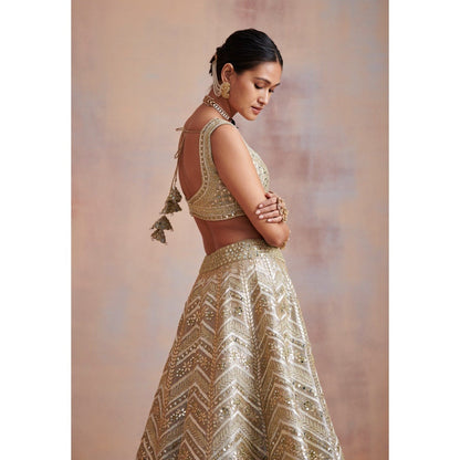 SUHINO Ivory Tissue Lehenga with Blouse & Dupatta (Set of 3)