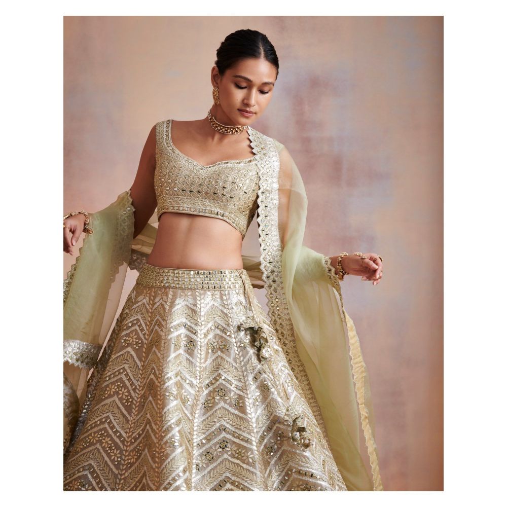 SUHINO Ivory Tissue Lehenga with Blouse & Dupatta (Set of 3)