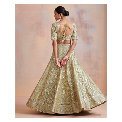 SUHINO Sage Green Slub Silk Lehenga with Blouse & Dupatta (Set of 3)