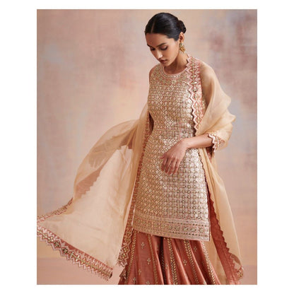 SUHINO Melon Peach Tissue Kurta with Sharara & Dupatta (Set of 3)