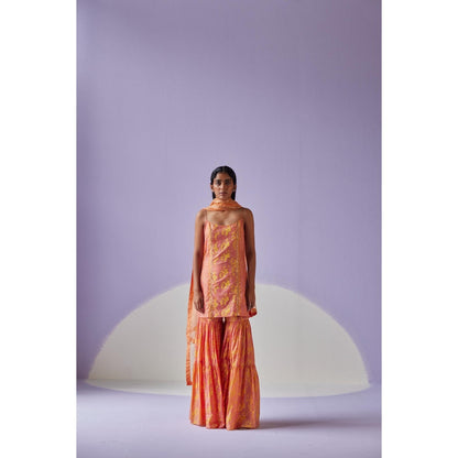 Surbhi Gupta Coral Tiered Sharara with Kurta and Dupatta (Set of 3)